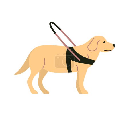Guide dog. Pet friend and assistant for blind people. Trained pet labrador. Flat vector illustration isolated on white background