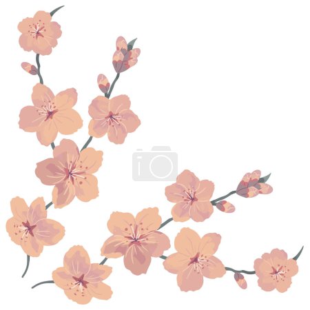 Illustration for Cherry blossom. Sakura branch. Floral pattern. Decoration and design for card, invitation, brochure. Vector illustration isolated on white background - Royalty Free Image