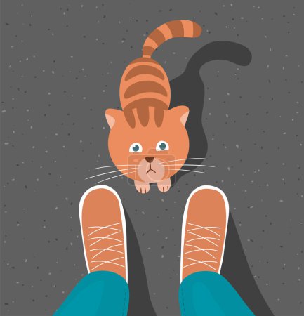 Cute striped kitten at the feet of a man. Pet asking for food. Flat vector illustration