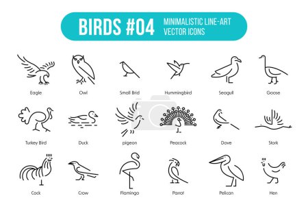 Icônes d'oiseaux Pack avec dix-huit types d'oiseaux avec des noms. Symboles vectoriels à la mode adaptés au site Web, aux applications et au kit UI
