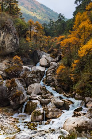 Wasserfall im tiefgelben Wald während der Kanchenjunga-Wanderung im Himalaya von Nepal