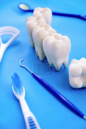 Foto de Modelo dental y equipo dental sobre fondo azul, imagen conceptual de fondo dental. antecedentes de higiene dental - Imagen libre de derechos