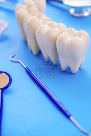 Téléchargez les photos : Modèle dentaire et équipement dentaire sur fond bleu, image concept de fond dentaire. hygiène dentaire contexte - en image libre de droit