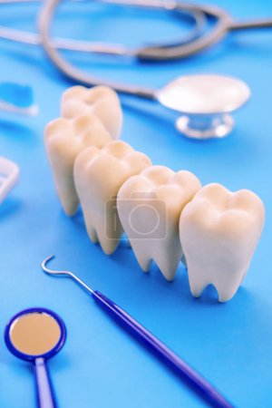 Photo for Dental model and dental equipment on blue background, concept image of dental background. dental hygiene background - Royalty Free Image