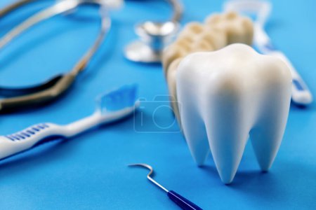 Foto de Modelo dental y equipo dental sobre fondo azul, concepto odontológico. - Imagen libre de derechos