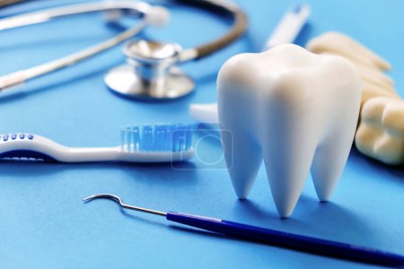 Foto de Modelo dental y equipo dental sobre fondo azul, concepto odontológico. - Imagen libre de derechos