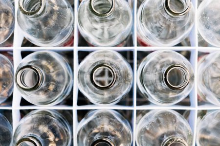 Photo for Empty bottles glass in Row. - Royalty Free Image