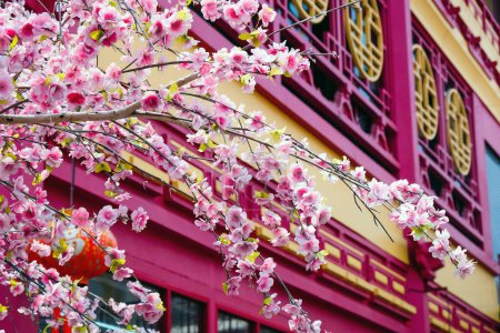 Foto de Flor de imitación, flor de cerezo en la fachada de una casa. Hermosas flores fondo. - Imagen libre de derechos