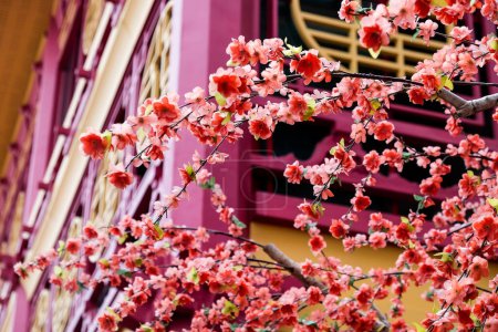 Téléchargez les photos : Imitation fleur, fleurs artificielles de cerisier japonais en pleine floraison. Beau fond de fleurs. - en image libre de droit
