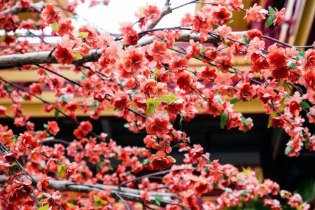 Téléchargez les photos : Imitation fleur, fleurs artificielles de cerisier japonais en pleine floraison. Beau fond de fleurs. - en image libre de droit