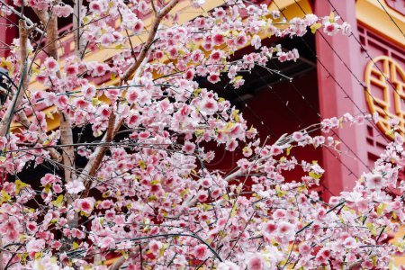 Photo for Imitation flower, artificial Japanese cherry blossoms in full bloom. Beautiful flowers background. - Royalty Free Image