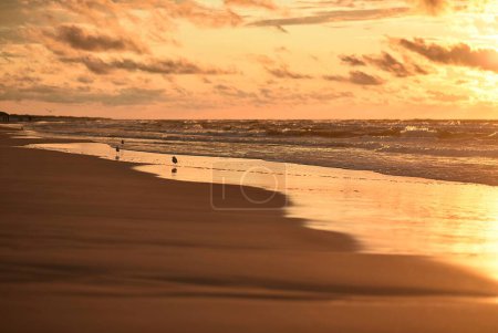Téléchargez les photos : Coucher de soleil sur la mer Baltique - en image libre de droit