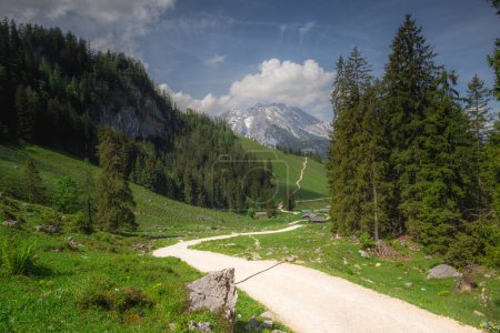 Téléchargez les photos : Belle vue sur la vallée de montagne avec des pistes près du mont Jenner dans le parc national de Berchtesgaden, Alpes bavaroises supérieures, Allemagne, Europe. Beauté de la nature concept arrière-plan. - en image libre de droit