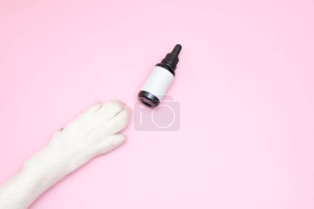 Photo for Pet supplement healthy feed bottle mockupand dog paw on pink background - Royalty Free Image