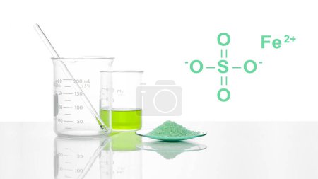 Foto de Sulfato ferroso en vidrio de reloj químico con estructura química junto al líquido sulfato de hierro (II) en Beaker. Vista lateral - Imagen libre de derechos