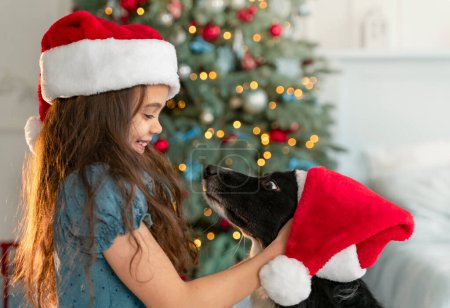 Cute little girl is enjoying Christmas time with dog. Puts a santa hat on a dogs head and laughs  Poster 623869278