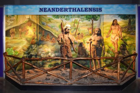 Téléchargez les photos : NEANDERTHALENSIS ou sculpture Homo sapiens au Musée de Science City, Ahmedabad, Gujrat, Inde - en image libre de droit