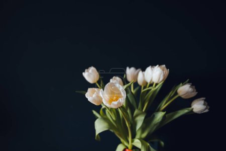 A bouquet of tulips isolated