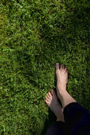Téléchargez les photos : Image de pieds féminins nus debout sur herbe fraîche humide vue de dessus avec espace de copie - en image libre de droit