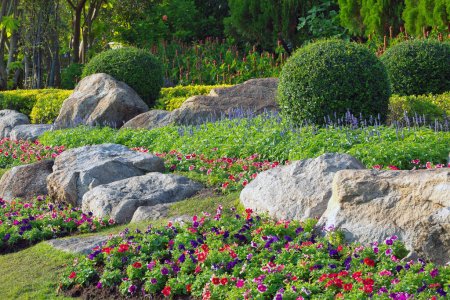 Téléchargez les photos : Jardin décoratif dans les parcs. - en image libre de droit