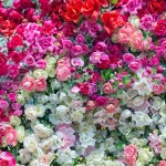 Colorful artificial roses for the background.