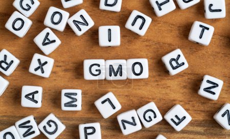 Téléchargez les photos : Petits cubes de perles blanches et noires sur planche de bois, lettres au milieu sort OGM - concept alimentaire génétiquement modifié - en image libre de droit