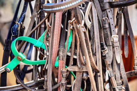 Photo for Many leather horse bridles hanging near stables, closeup detail. - Royalty Free Image