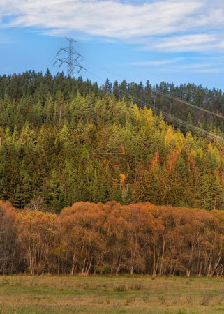 Téléchargez les photos : Grand pylône métallique sous les lignes électriques construites à la campagne avec herbe d'automne et collines couvertes de forêts, fond bleu ciel - en image libre de droit