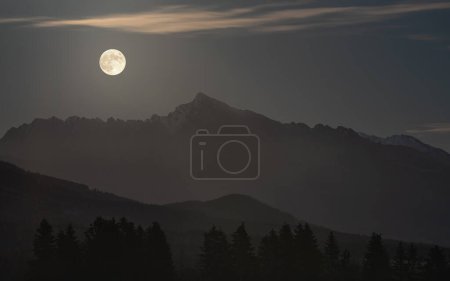 Téléchargez les photos : Pleine lune sur le sommet du mont Krivan - symbole slovaque - silhouettes d'arbres forestiers au premier plan, photo du soir - en image libre de droit