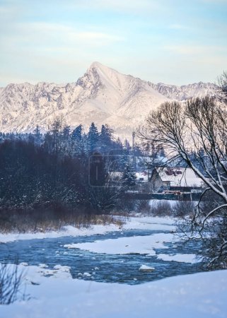 Téléchargez les photos : Rivière d'hiver, pierres couvertes de neige et de glace, sommet du mont Krivan symbole slovaque au loin - en image libre de droit