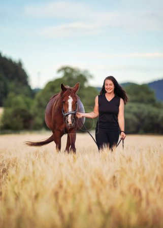 Téléchargez les photos : Jeune femme en leggings noirs et t-shirt marchant avec cheval arabe brun dans le champ de blé - en image libre de droit