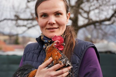 Téléchargez les photos : Petit coq de poulet bantam avec peigne rouge vif tenu sur les bras par la jeune femme, se concentrer sur la tête d'oiseau - en image libre de droit