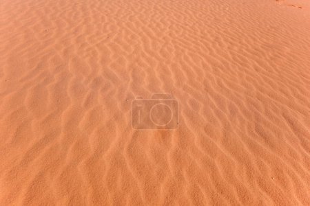 Téléchargez les photos : Le soleil brille sur le sable rouge du désert, le vent forme de petites crêtes, détails rapprochés - en image libre de droit