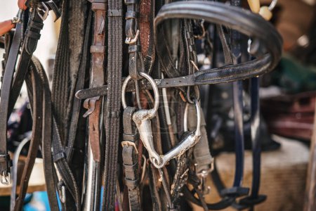 Photo for Many leather horse bridles hanging near stables, closeup detail - Royalty Free Image