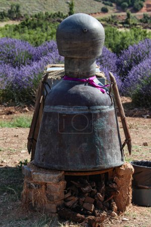 Photo for Big old metal churn in a lavender field. Traditional barrel in the lavender field - Royalty Free Image
