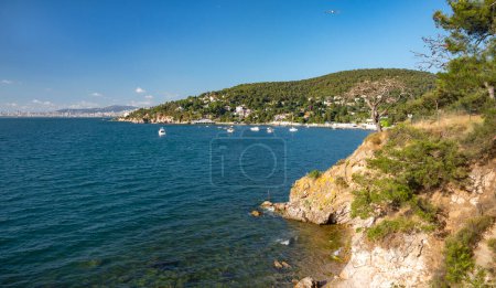 Téléchargez les photos : Belle vue panoramique sur la mer Noire avec des yachts et la ville en arrière-plan. Côte rocheuse avec des arbres et des pins par une journée ensoleillée d'été. Turquie, Îles Prince. - en image libre de droit