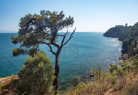 Téléchargez les photos : Belle vue panoramique sur la mer Noire, et la côte rocheuse avec des arbres et des pins par une journée d'été ensoleillée. Turquie, Îles Prince. - en image libre de droit