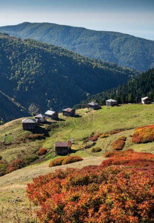 Photo for Beautiful autumn mountain landscape with colorful trees and old houses. Traveling through the mountains of Georgia. The village of Gomismta. - Royalty Free Image