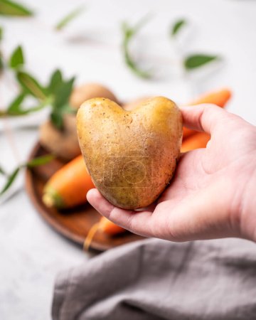 Téléchargez les photos : Une main tient une pomme de terre en forme de cœur sur une assiette de légumes crus en gros plan. Le concept de produits naturels rustiques cultivés avec soin et amour. - en image libre de droit