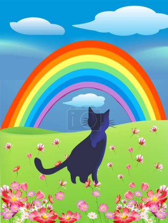 Téléchargez les photos : Composition avec un chat qui se tient dans la prairie et regarde l'arc-en-ciel - en image libre de droit