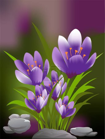 Téléchargez les photos : Composition printanière avec crocus violets - en image libre de droit