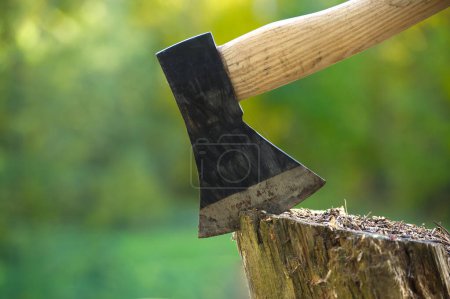 Photo for Axe or chopper stuck in a moss covered log of wood in a forest, close up side view. Conceptual of outdoor lifestyle or camping - Royalty Free Image