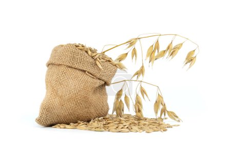 Photo for Oat grains with hulls or husks in burlap bag isolated on a white background. Agriculture, diet and nutrition. Common oat or Avena sativa - Royalty Free Image