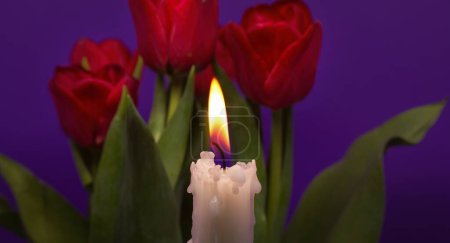 Foto de Tamaño del banner imagen de vela ardiente y tulipanes rojos sobre un fondo púrpura con espacio de copia gratuito para el texto - Imagen libre de derechos