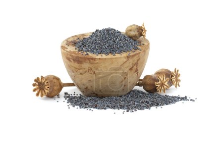 Poppy seeds in wooden bowl and seed pods isolated on white background, full depth of field