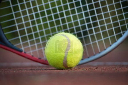 Photo for Tennis racquet and yellow tennis ball near white line, outdoor court tennis scene in low angle view - Royalty Free Image