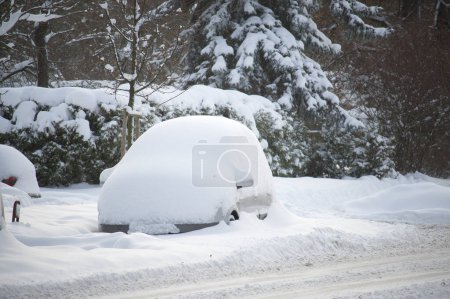 Journée d'hiver avec plusieurs voitures, certaines sont presque entièrement enterrées par la neige