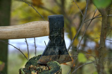 Axe with a brown wooden handle and a black head lodged into a piece of wood or tree stump in a forest or a natural outdoor environment with blurred greenery in the back