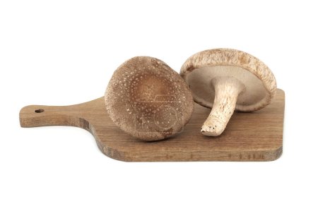 Shiitake mushrooms on a wooden cutting board in close-up, isolated on white background. Medicinal herbs and fungi