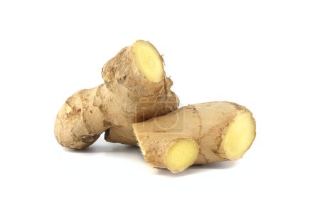 Fresh ginger roots isolated on white background, herbal medical plant